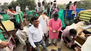 24/10/2025 धान 🌾 का भाव (1509 , 1718 ,1847) Magroni Mandi by Girish Bamoriya 