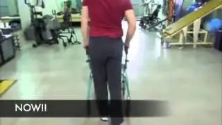 The Walk It Off Experience