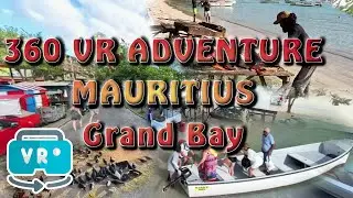 Grand Bay 360 VR Visit Mauritius 2024 Online Guide - The Northernmost Village Bustling with Activity