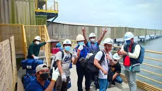 off signers in paranagua Brasil by seal island crew