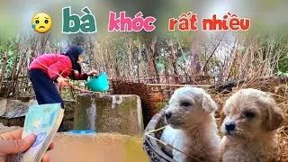 Tắm Cho Cún Bị Ghẻ - Thăm Lại Bà Sống Một Mình Và Biếu Số Tiền Lớn / Quế Nghịch