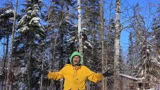 How to Live Off the Grid