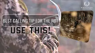 The BEST Calling Strategy During The RUT!