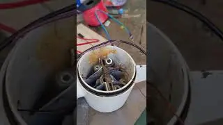 watersnake t24 rebuild