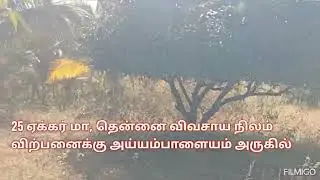 25 acres coconut, mangos agri farm land sale Dindigul district ayyampalayam