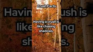 Quick facts for positive living 56