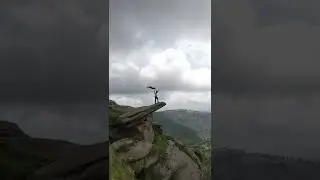 The Rock of Lion King