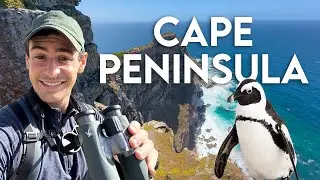 Cape Peninsula/Boulders Beach Private Tour: Day Trip from Cape Town (South Africa Travel VLOG)