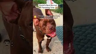 Моя токсичная бывшая жена часть 7