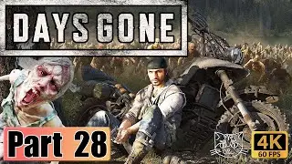 Capturing a live newt for testing purposes | Days Gone - Gameplay | 4K 60FPS | P28