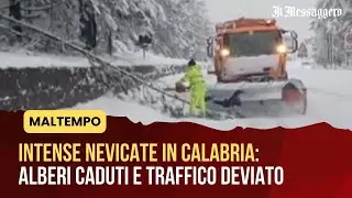 Maltempo, intense nevicate in Calabria: alberi caduti e traffico deviato