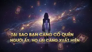 Vì Sao Người Ấy Không Biến Mất Khỏi Cuộc Đời Bạn? | Bài Tarot