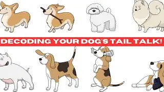 Wagging Wisdom: Decoding Your Dog's Tail Talk!