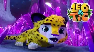 Leo e Tig -  A Caverna Misteriosa  ⭐ Super Toons TV - Bichinhos Fofos