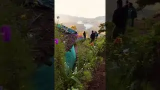 Explore Campwoody | Campper