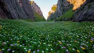 Lush Green Valley
