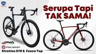Polygon Strattos S7D VS Java Fuoco Top // Bahas Lengkap! // Kekurangan & Kelebihan.