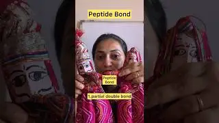 Образование пептидной связи