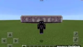Inventory Pets P2 l Mcpe mod showcase