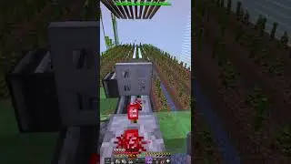 PRZERAZAJACA HISTORIA O BABCI... #shorts #minecraft #anarchia