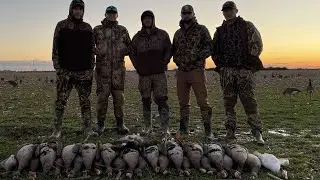 Specklebelly Goose Hunting | Arkansas Late Season