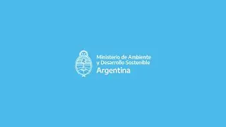 Presentaci&oacute;n y Consulta virtual en el marco del COVID-19 a la Federacion Forestal Argentina