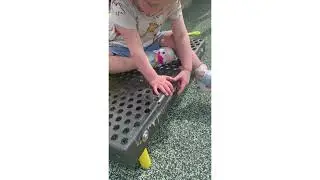 STEMIE Video Demonstration: Playground Exploration: Why is it sticky  (Prompts Free)