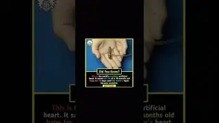 did you know that this is the world| subscribe for more video like this| 🥺