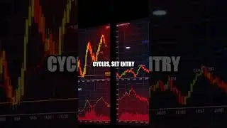 Sharp Moves and Cooled Risks: How to Build a Resilient Crypto Portfolio