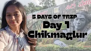 Blr to Chikmagalur Family Trip | Halebidu, Belur, Mullayanagiri Trek & Iconic Filter Coffee ☕⛰️