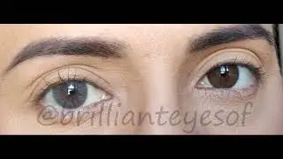 Siesta Crystal Halo Gray - (Brilliant Eyes)
