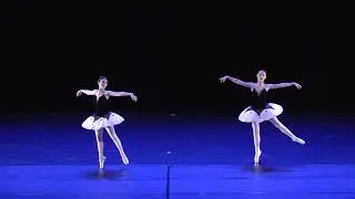 Dullius Dance - Pizzicato Harlequinade