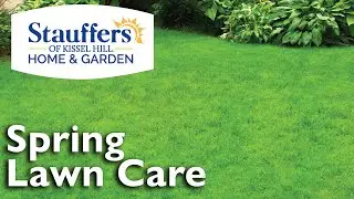 Learn About Spring Lawn Care!