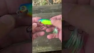 Sam Griffin Katie Bait 10 08 2024 #jeffmcgovern #fishing #pestcoach