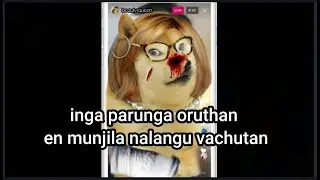 Zomoto guy vs insta girl Cheems troll / Cheems thalaivan