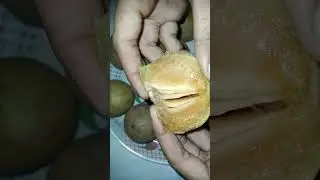 CHIKU FRUIT 🙂🙂
