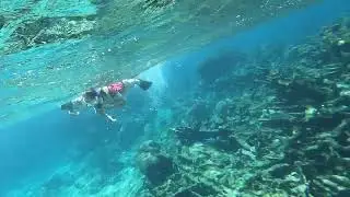Buck Island national monument reef snorkel July 2023