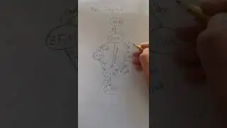 Atpl exam: mass and balance, all kinds of mass