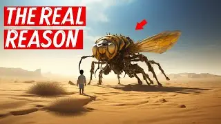Why Bees Are So Important In The Quran
