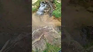 Shorts : Waterfall (Air Terjun), Bayan Lepas, Penang Island, Malaysia