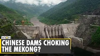 Fish stocks collapse in lower Mekong | Experts blame 'Chinese Dams' for crisis | Latest English News