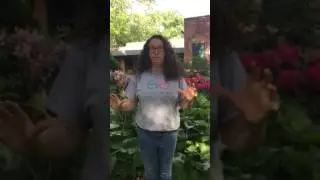 Support the Girls - Dana Marlowe