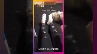 Best Pet Hair Remover For Clothes, Watch the Magic!