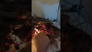 homemade fireplace prototype test 🔥 No more cold winters #homestead