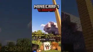 Bloodpact, a minecraft server where everyone shares health/damage. #minecraft #twitch #youtube #smp