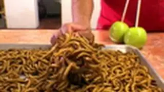 Insect Candy | National Geographic