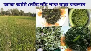 নেটাপেটা শাক রেসিপি । #shortvideo #lifestyle #homemadefood #viralvideo #cooking #recipe #highlights