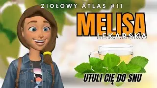 Melisa lekarska - Ziołowy Atlas #11