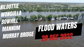 Murray River Floods 28/12/2022 | Murray Bridge to Nildottie
