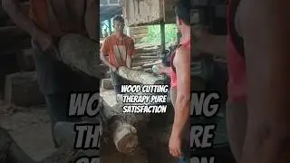 Wood Cutting Therapy Pure Satisfaction #wood #woodworking #automobile #2026 #viral #viralvideo